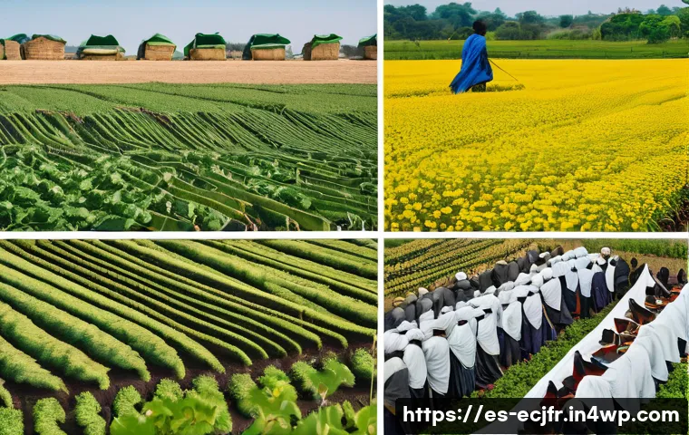 7 Trucos Infalibles para Elegir Ropa Sostenible y Detectar el Greenwashing 3 소비자의 친환경 의류 선택 기준 관련 이미지 1